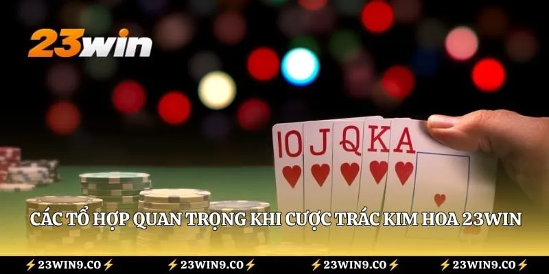 Trác Kim Hoa 23WIN – Tìm Hiểu Luật Và Thứ Tự Các Bộ Bài 3 Các tổ hợp quan trọng khi cược Trác Kim Hoa 23WIN