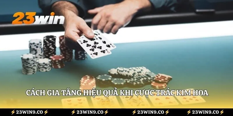 Trác Kim Hoa 23WIN – Tìm Hiểu Luật Và Thứ Tự Các Bộ Bài 4 Cách gia tăng hiệu quả khi cược Trác Kim Hoa