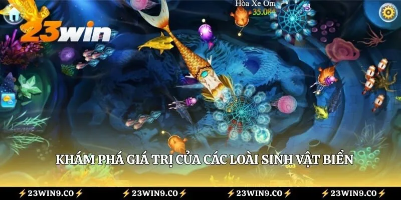 Khám phá giá trị của các loài sinh vật biển